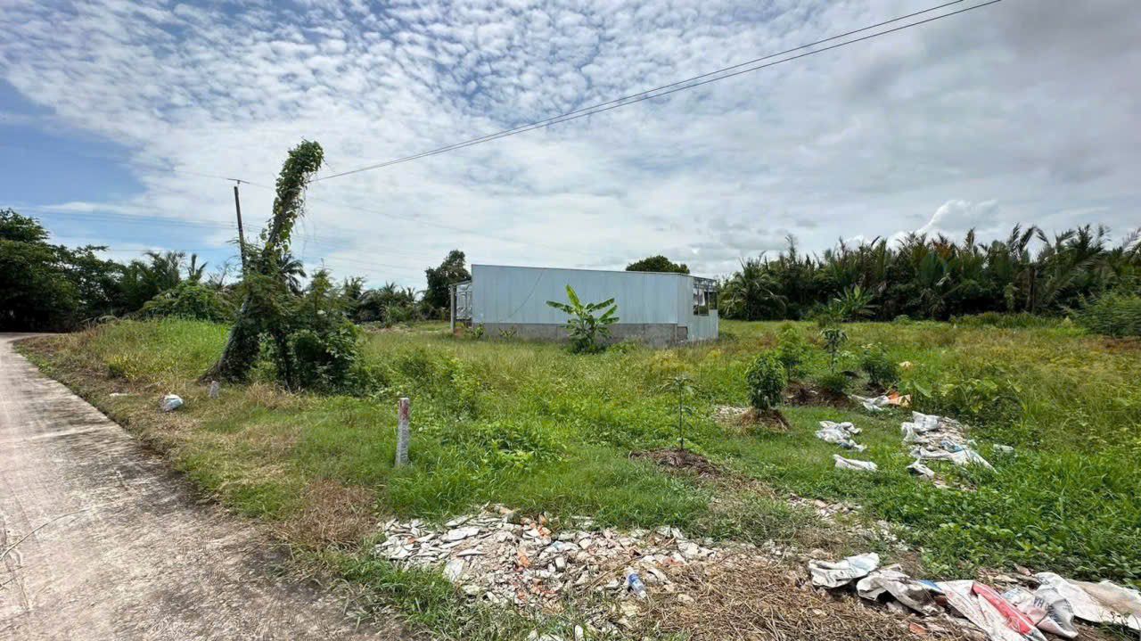 Đất thổ cư xã Bình Hòa, huyện Châu Thành 178m² giá chỉ 295 triệu - Đầu tư sinh lời ngay!