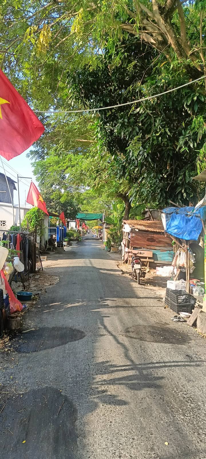 Đất vườn 4200m² tại Châu Phú, An Giang giá 1.47 tỷ - Đường đi riêng, tiện nghi đầy đủ!