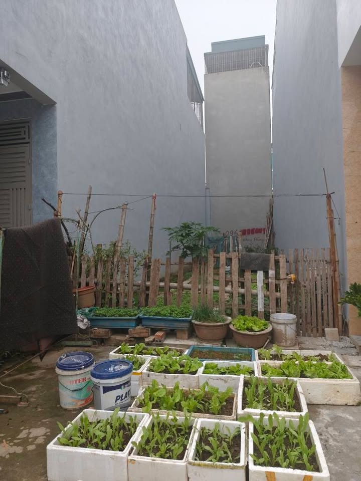 Đất nền Hạc Thành 63m² giá 4.23 tỷ - Vị trí trung tâm, cơ hội đầu tư tuyệt vời!