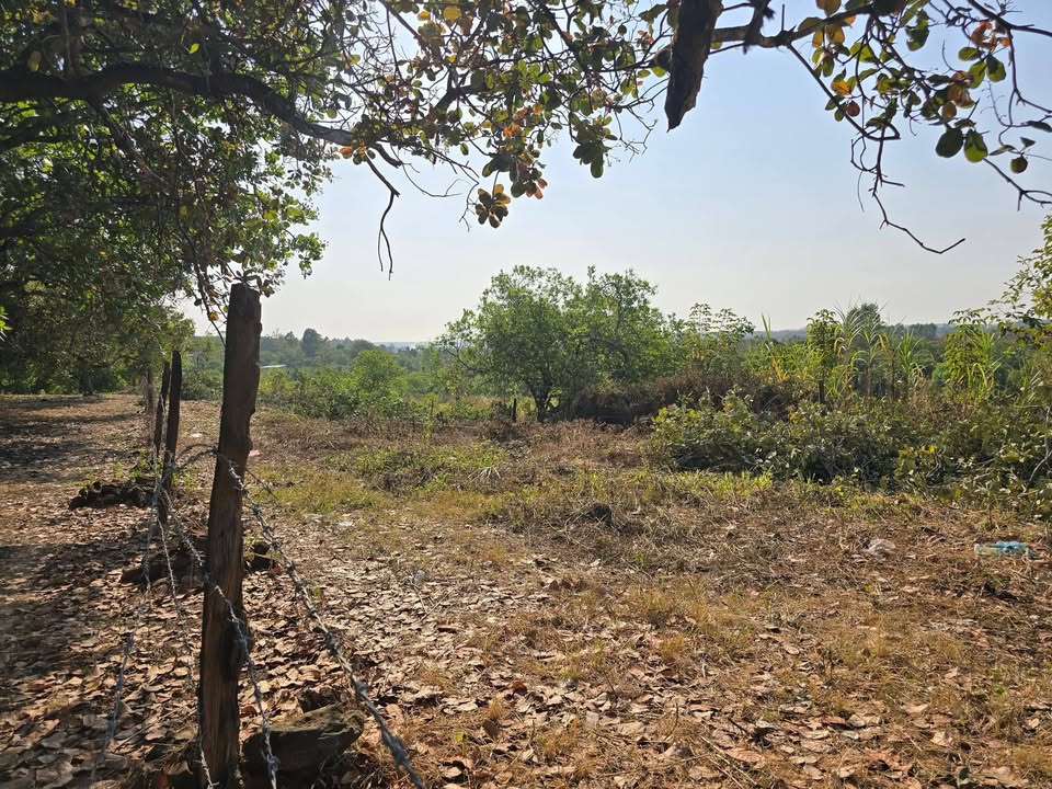 Đất nền 1000m² tại Ấp 5, Xã Thanh Hòa, Huyện Bù Đốp chỉ 140 triệu - Sổ hồng chính chủ!