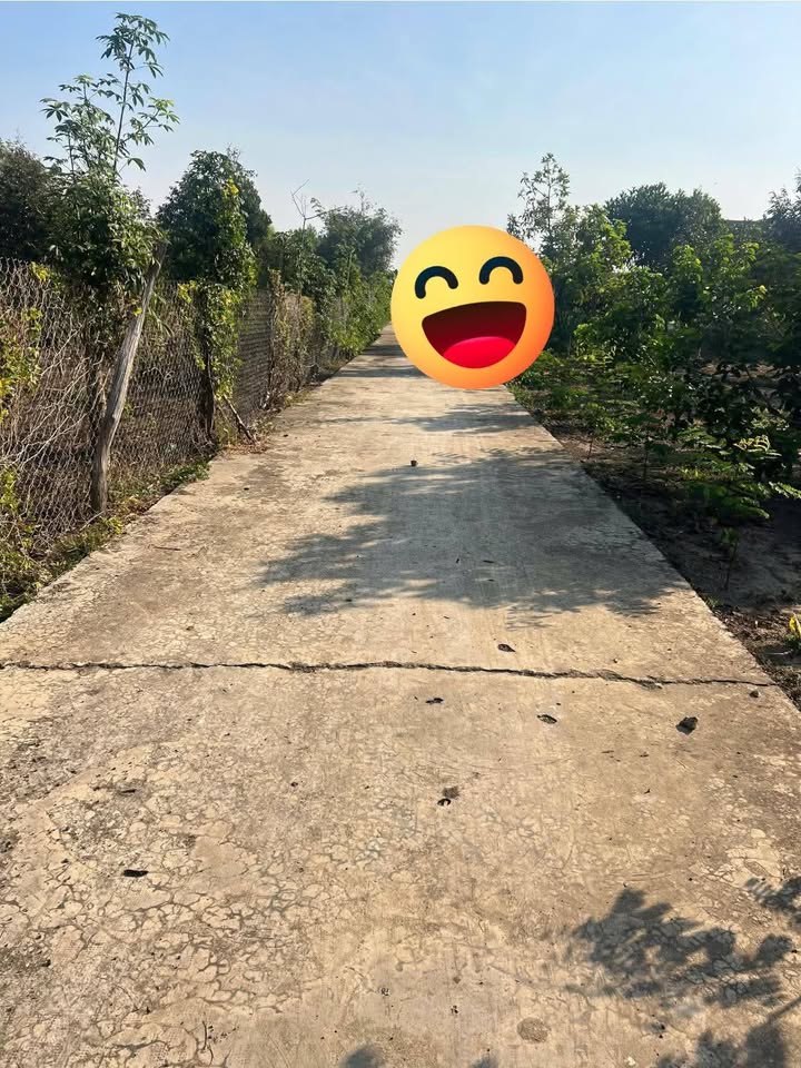 Đất lúa 1692m² tại Ấp 6, Huyện Bù Đốp, giá chỉ 300 triệu - Cơ hội đầu tư tuyệt vời!