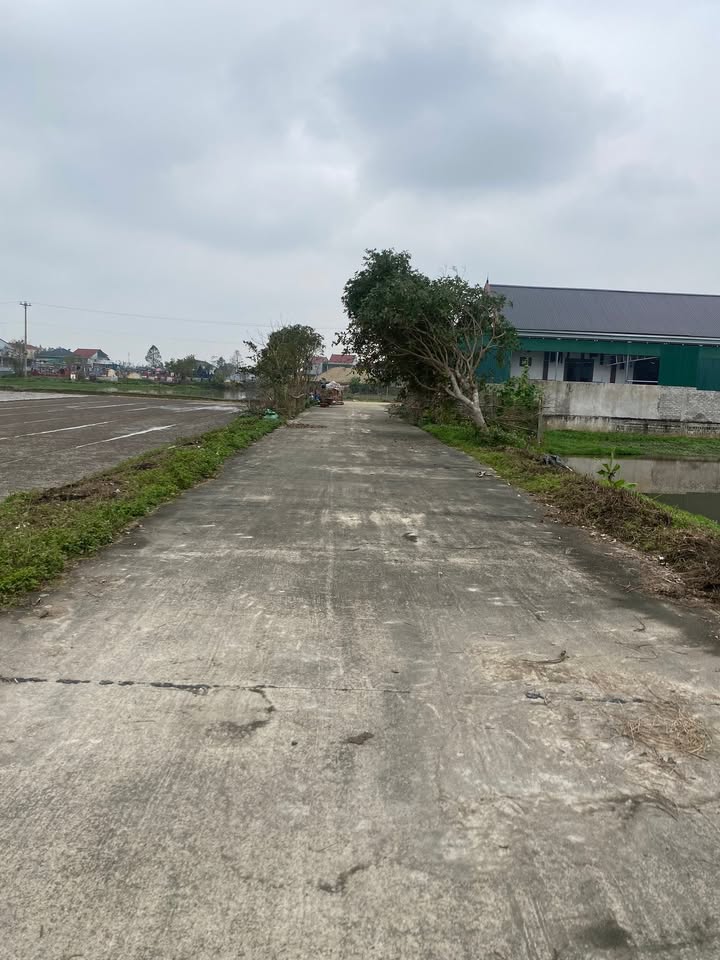 Đất nền 200m² tại Xã Xuân Lam, Huyện Hưng Nguyên - Giá chỉ 1 tỷ!