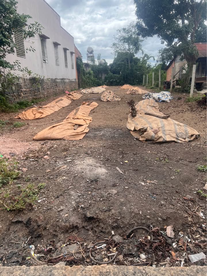 Đất nền xã Đinh Văn, huyện Đức Trọng, 387m² giá 1.7 tỷ - Cần bán gấp!