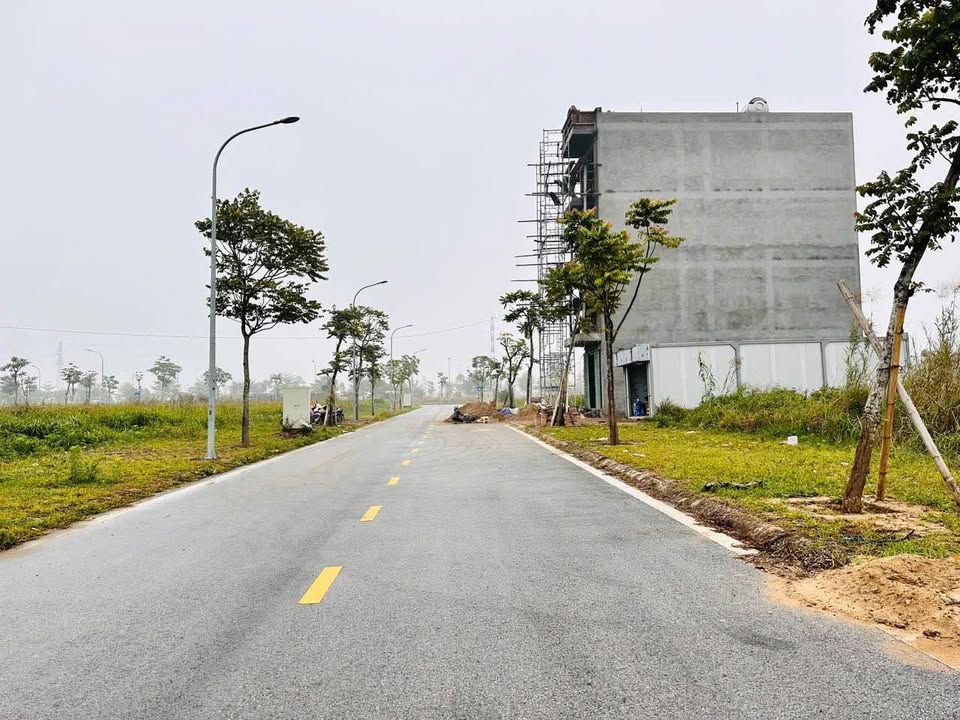 Đất nền Khu đô thị Mới Viện Nhi Đại Học Hải Dương 67,5m² giá 3 tỷ - Mặt tiền 17,5m!