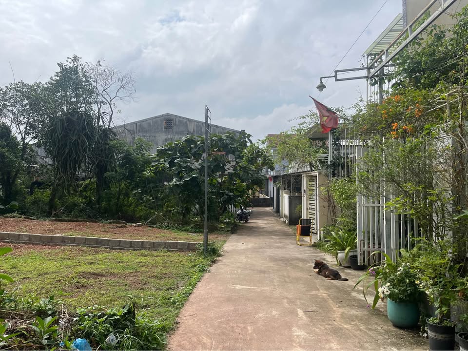 Đất kiệt ô tô 111m² Phan Kế Bính - Thủy Xuân - Giá 1 tỷ - Cơ hội đầu tư tuyệt vời!