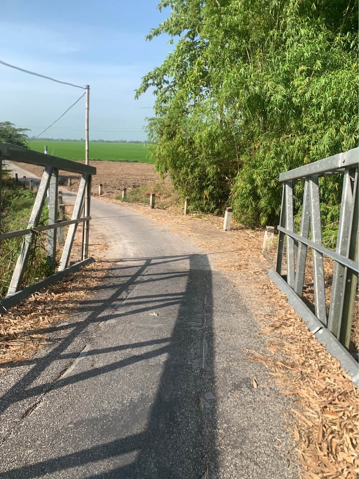 Đất nền 5000m² xã Thới Xuân, Cần Thơ giá 1.15 tỷ - Pháp lý rõ ràng, xây dựng ngay!