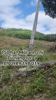 Đất nông nghiệp Kbang, Gia Lai 1.500.000m² chỉ 37.5 tỷ - Tiềm năng đầu tư lớn!