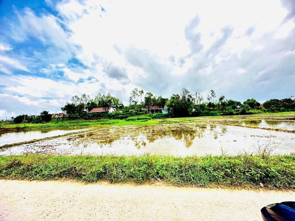 Đất lúa 700m² tại Vân Tường, Bình Hoà - Sổ hồng chính chủ, giá thương lượng!