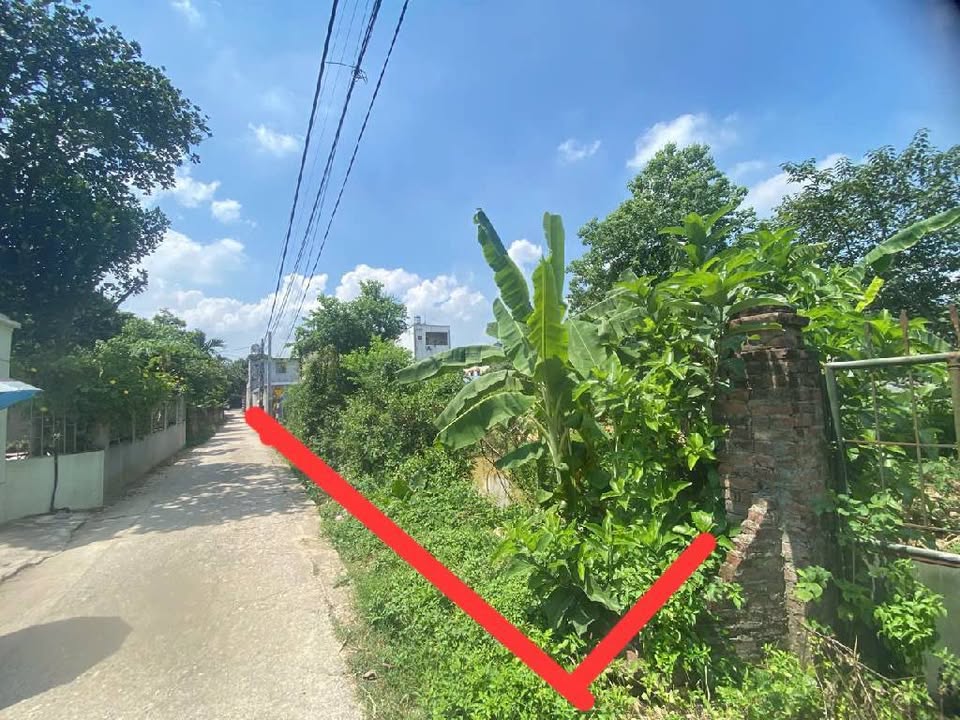 Đất nền 1.580m² tại Quốc lộ 35, Sóc Sơn - Giá đầu tư chỉ 9 triệu/m²!