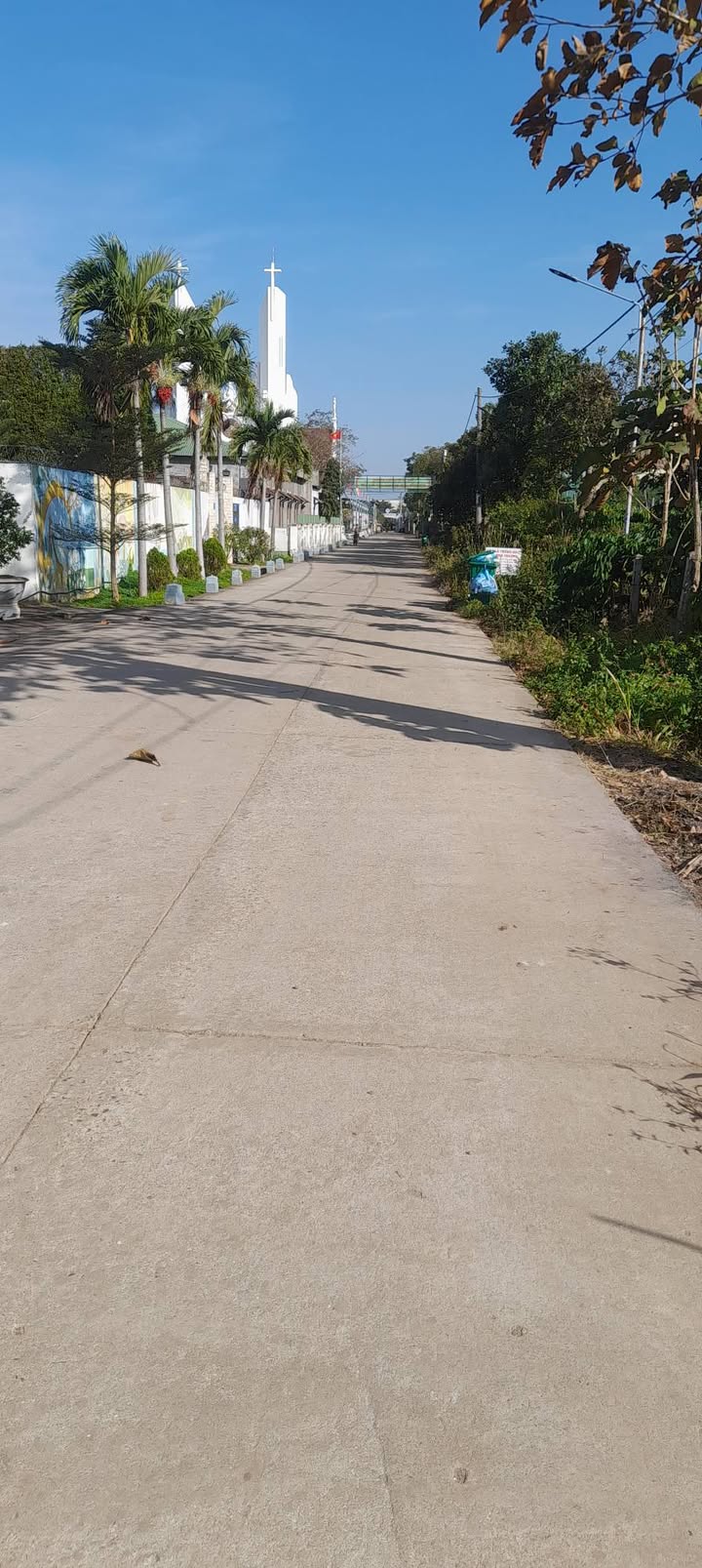 Đất thổ cư Đường Nguyễn Công Trứ, Xã Cư Jút, 275m² giá 4.73 tỷ - Đầu tư sinh lời lý tưởng!