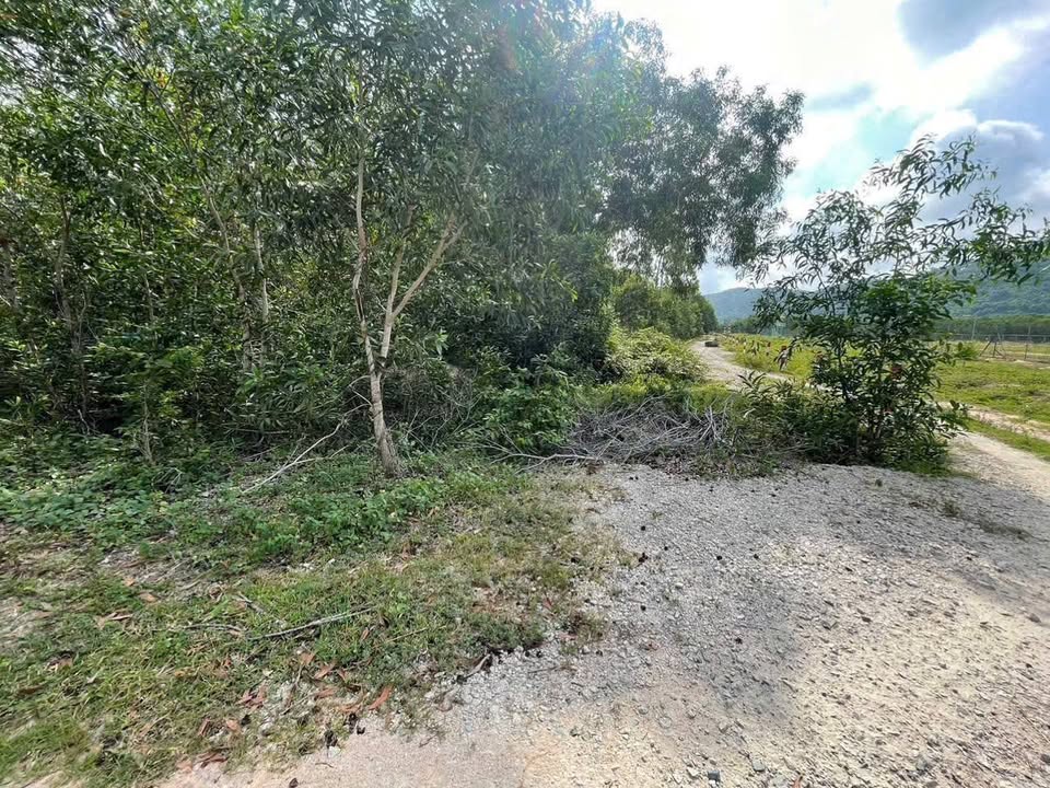 Đất nền lô góc 2 mặt tiền đường đá mi, xã Tam An, huyện Long Đất, 963m² - Cơ hội đầu tư tuyệt vời!