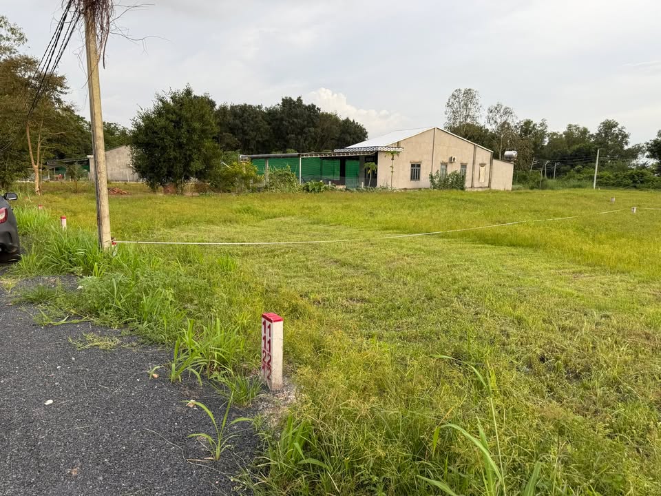 Đất nền Bàu Đồn Gò Dầu 105m² giá từ 390 triệu - Đầu tư sinh lời bền vững!