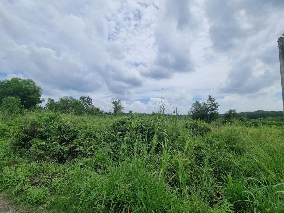 Đất nền Phường Long Hoa, Tây Ninh 1152m² giá 1.38 tỷ - Đầu tư lý tưởng!