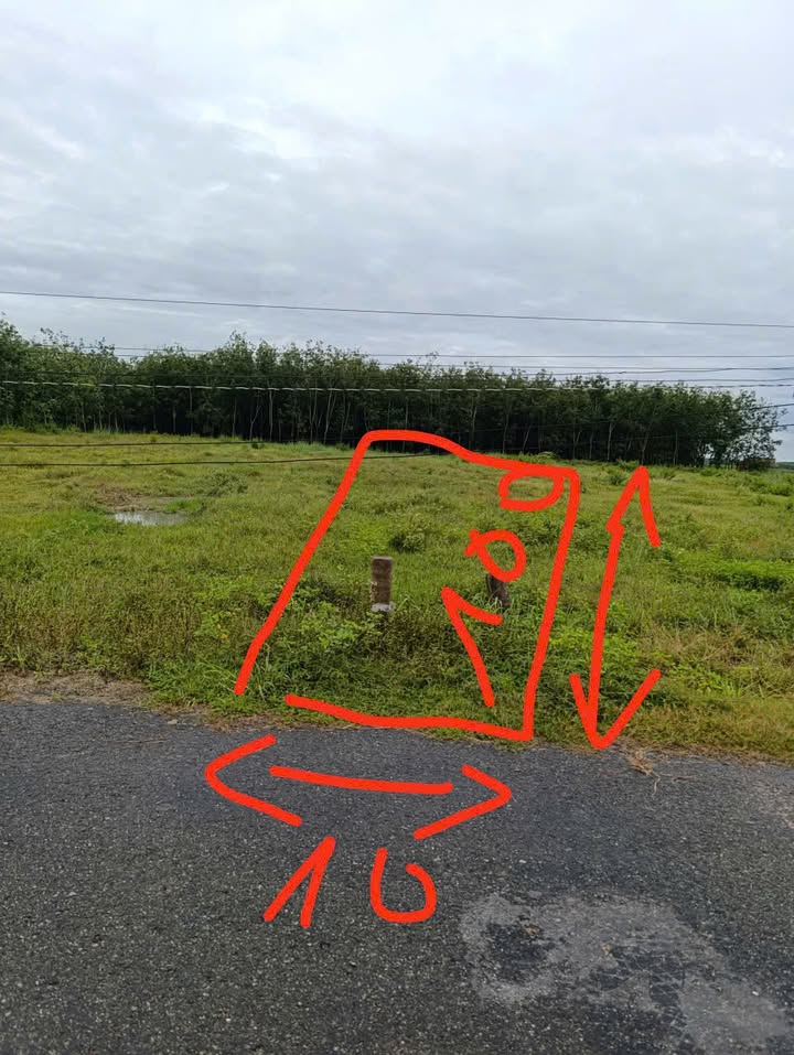 Đất nền 1043m² mặt tiền đường trung tâm xã Nhựa, Tân Biên - Giá chỉ 600 triệu!