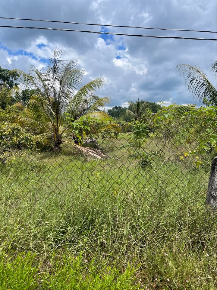 Đất nền Xã Truông Mít, Huyện Dương Minh Châu 340m² giá 500 triệu - Sổ hồng chính chủ