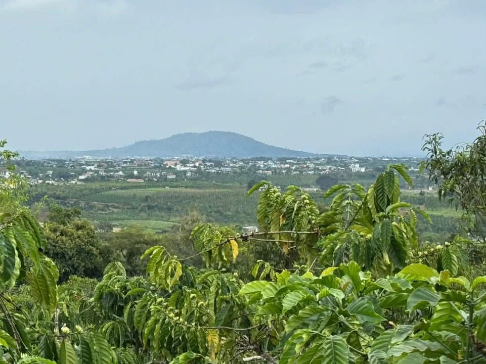 Đất nền 360m² xã Tân Hà, Lâm Hà giá 700 triệu - Đường bê tông rộng rãi!