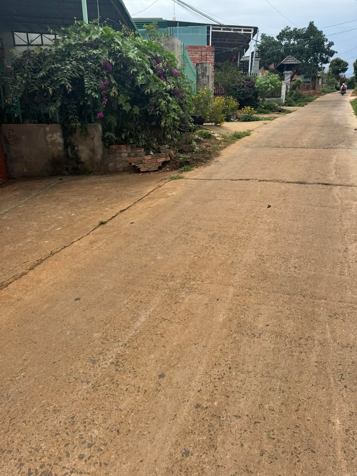 Đất nền thổ cư 228m² tại Tân Minh, Thường Tín - Giá chỉ 900 triệu!