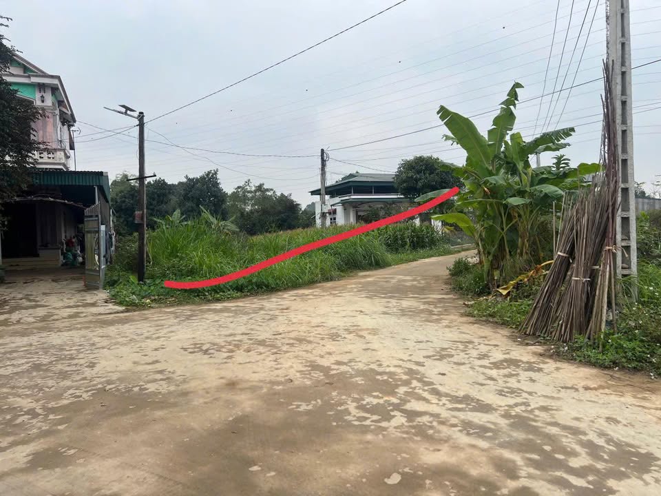 Đất thổ cư 217m² tại Khu 4 An Đạo, Phù Ninh - Giá hạt rẻ nhất khu!