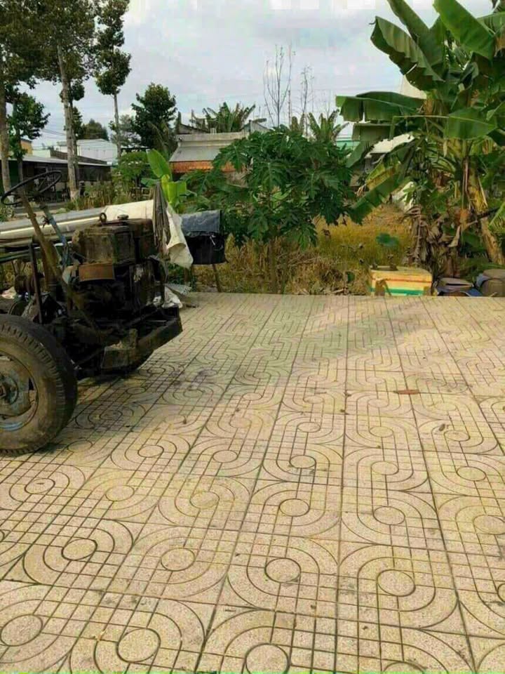 Đất nền Trần Hưng Đạo, Mỹ An, Tháp Mười 127m² - Đầu tư sinh lời cao!