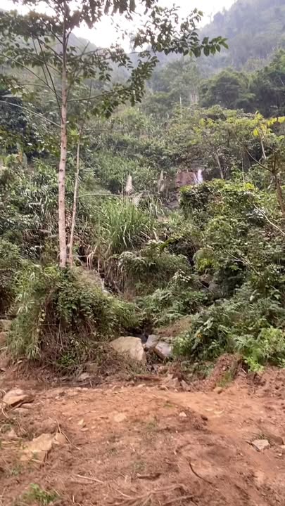 Farm 6ha tại Xã Tân Phương, Huyện Thanh Thủy, Phú Thọ - Có thác nhỏ tuyệt đẹp!