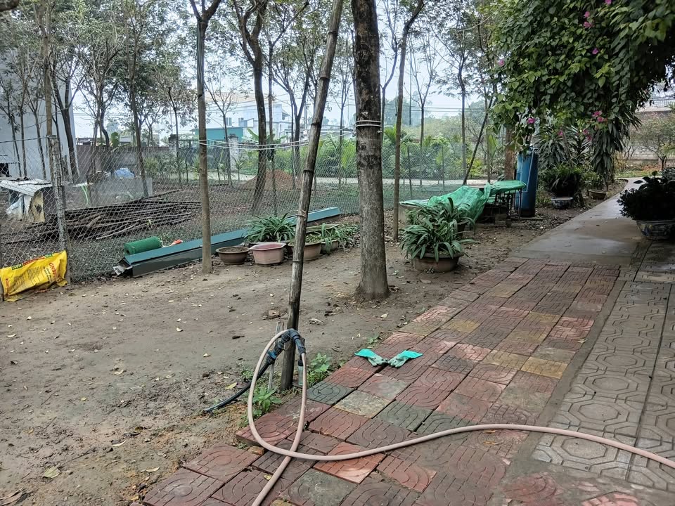 Đất nền 1200m² Trại Giềng, Thanh Vân, giá 6 tỷ - Sổ hồng chính chủ!