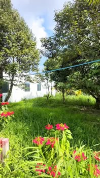 Đất nền mặt tiền Rạch Ông Dựa, Long Tuyền, 59m² giá 750 triệu - Cơ hội đầu tư hấp dẫn!