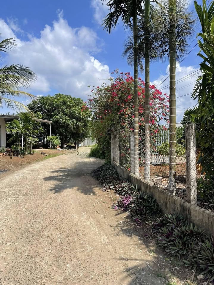 Đất thổ cư xã Ea Phê, huyện Krông Pắc, 5.25m² chỉ 530 triệu - Cơ hội vàng đầu tư!