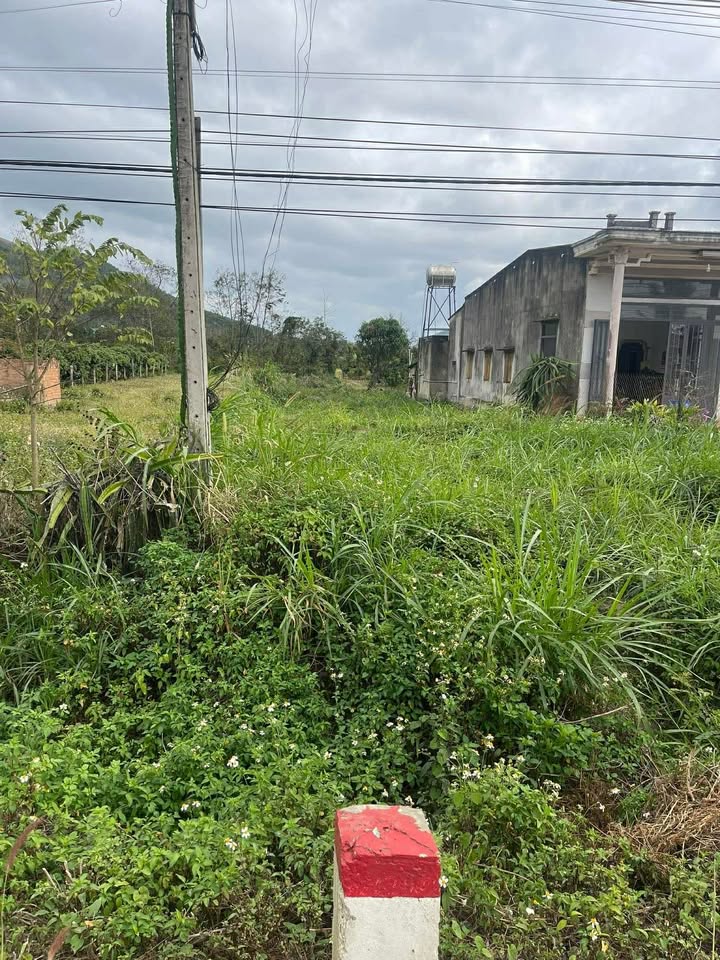 Đất nền Thị trấn Phước An 544m² giá chỉ 2xx triệu - Cơ hội hiếm có cho nhà đầu tư!