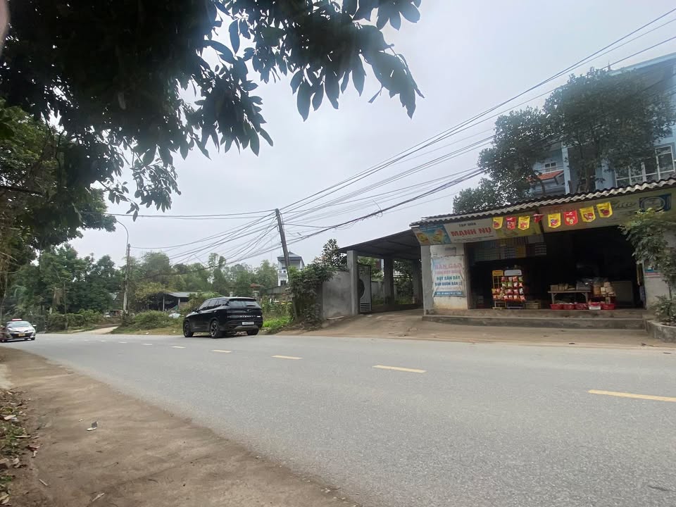 Đất nền xã Tam Dương, huyện Tam Dương, Vĩnh Phúc 220m² giá chỉ 870 triệu - Cơ hội đầu tư hấp dẫn!