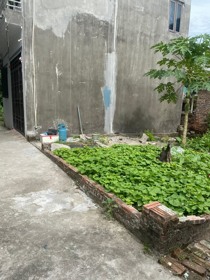 Đất nền Dương Xá Gia Lâm 42m² giá 2.93 tỷ - Sổ đỏ chính chủ, xây dựng ngay!