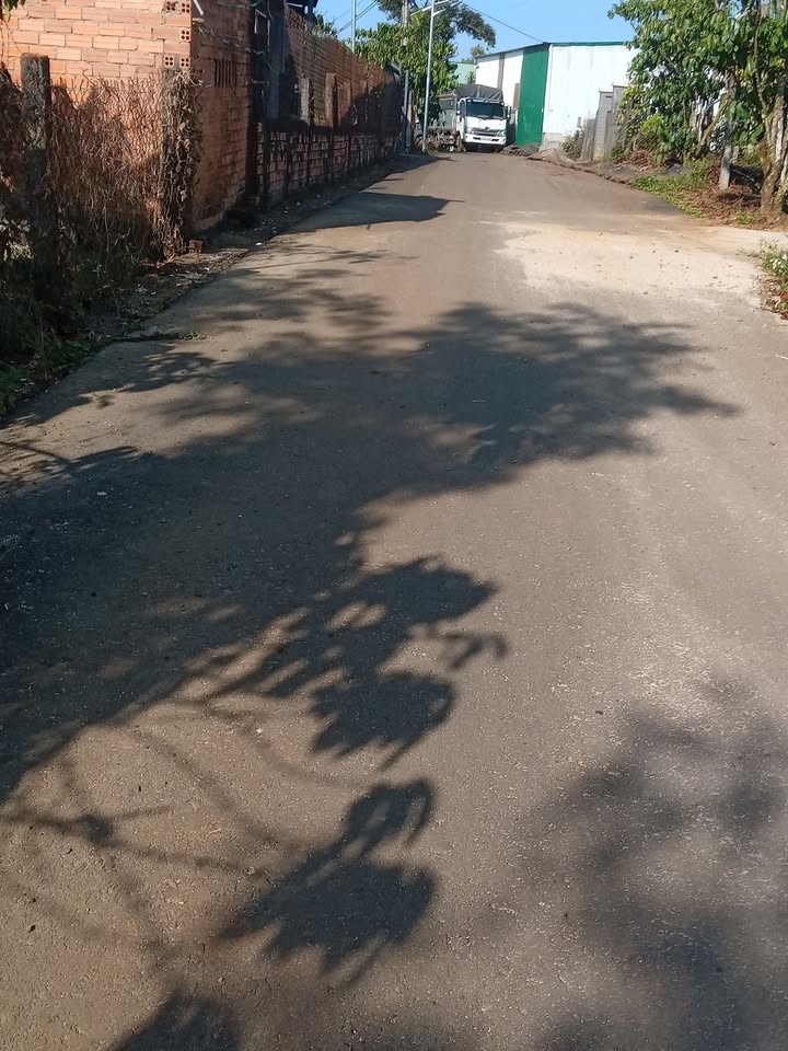 Đất thổ cư Hẻm 98 Trương Định Lộc Thắng 177m² giá 708 triệu - Đầu tư sinh lời!