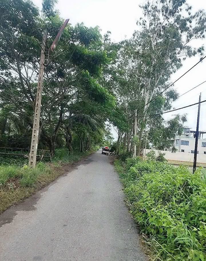 Đất nền Mặt Tiền đường Chông Chác, Quận Cái Răng, 369m² giá chỉ 950 triệu - Cơ hội đầu tư hấp dẫn!