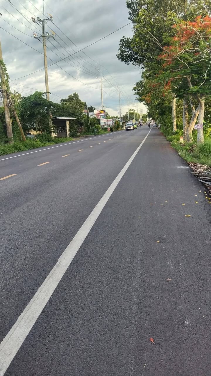 Đất nền mặt tiền đường nhựa 919, 600m² giá 2.8 tỷ - Cơ hội đầu tư hấp dẫn!