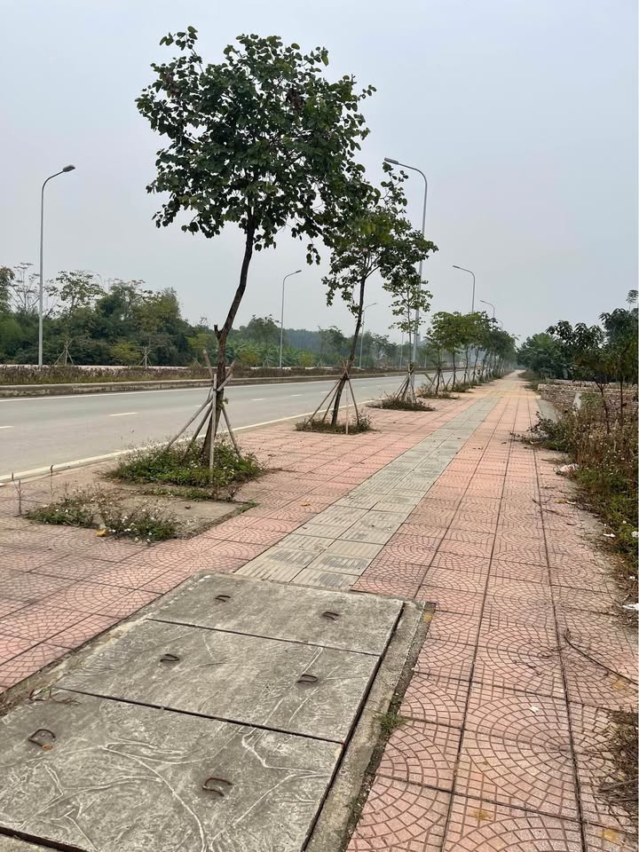 Đất nền KCN Nhuận Trạch 341m² giá chỉ vài triệu/m² - Phù hợp kinh doanh!