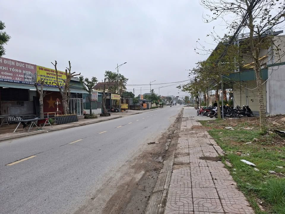 Đất kinh doanh tại Tổ 8, Đường Nguyễn Biên, 100m² - Cơ hội đầu tư hiếm có!