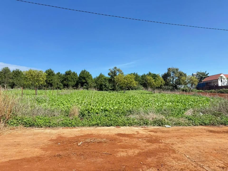 Đất nền xã Tân Hà, huyện Lâm Hà 360m² giá 1 tỷ - Đường bê tông, thuận tiện di chuyển!