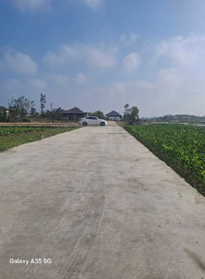 Đất Nền Nghĩa Trường 90m² giá 1.2 tỷ - Lô góc 2 mặt tiền gần trường học!