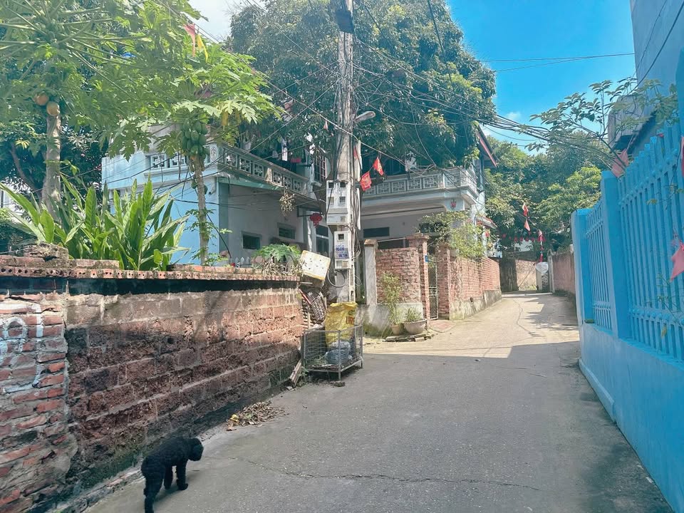 Đất nền Khu Tân Trung Lâm Thao 211m² giá 1.25 tỷ - Cần bán gấp trước Tết!