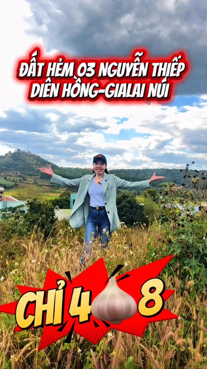 Đất Hẻm chính Nguyễn Thiếp, Pleiku 525m² - Tiềm năng đầu tư tuyệt vời!