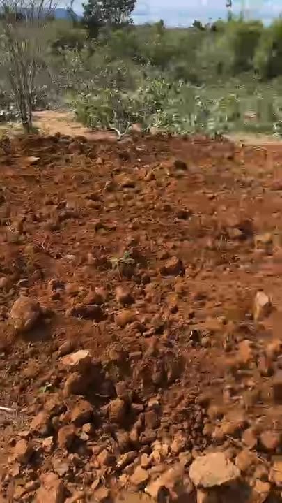 Đất nông nghiệp 6ha tại Chư Don, Gia Lai - Giá chỉ 500 triệu - Pháp lý rõ ràng!