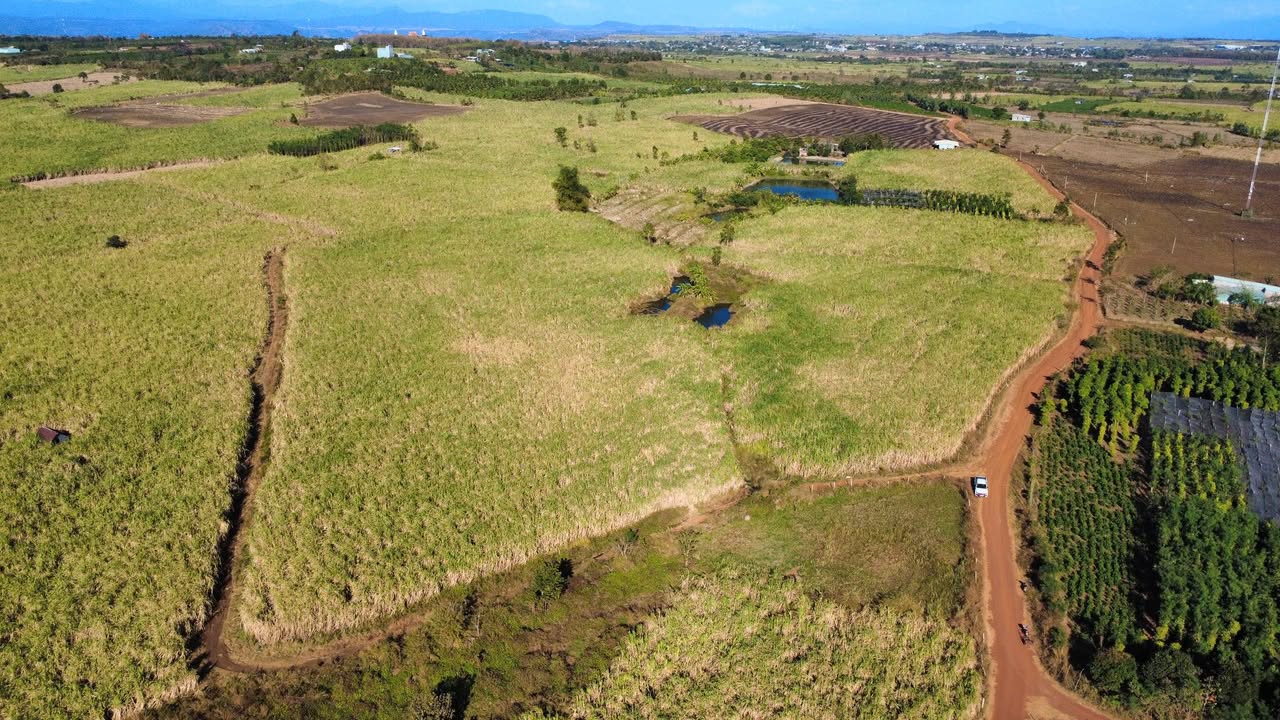 Đất nền 2ha tại Chư Sê, Gia Lai - Giá chỉ 1.35 tỷ, cơ hội đầu tư tuyệt vời!