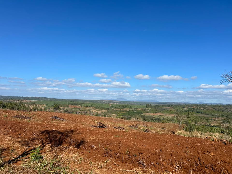 Đất farm 2,3ha tại xã Lơ Pang, Gia Lai - Gần khu dân cư, giá thỏa thuận!