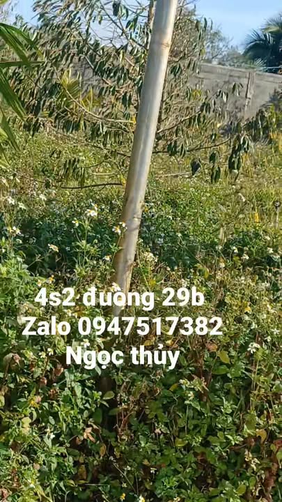 Đất nền 1440m² tại đường 29B, phường Tân An - Giá chỉ 5.94 tỷ!