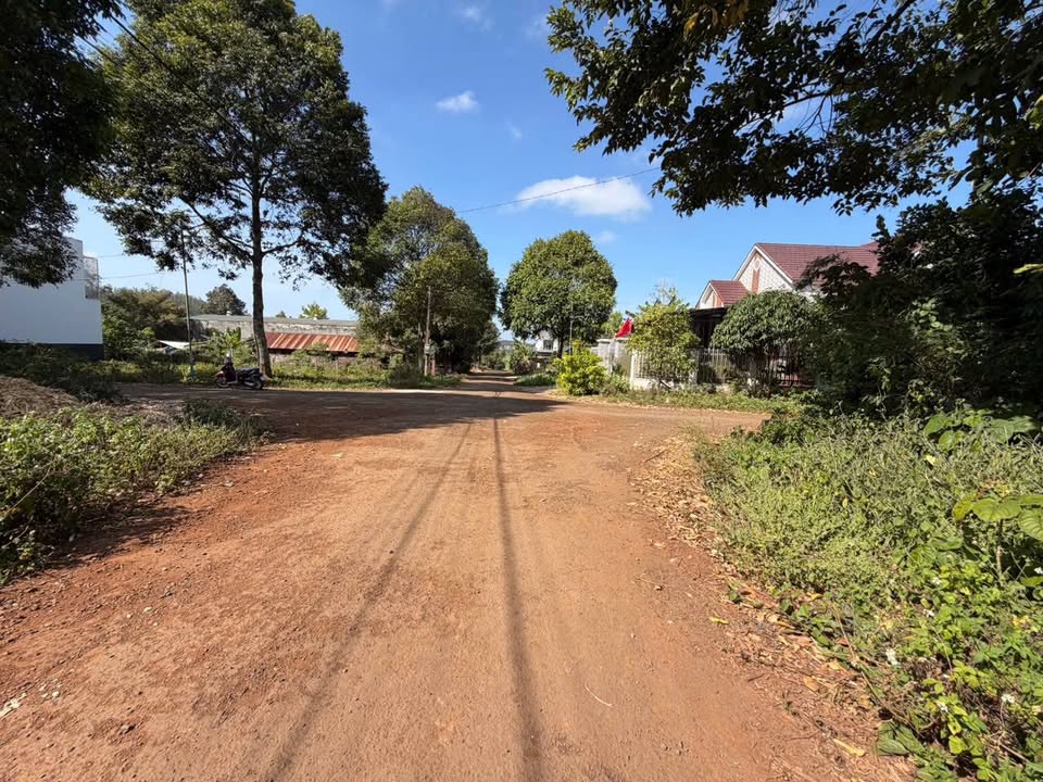 Đất nền Huyện Ea Kar 300m² giá 66 tỷ - Mặt tiền đường Nguyên Chí Thanh