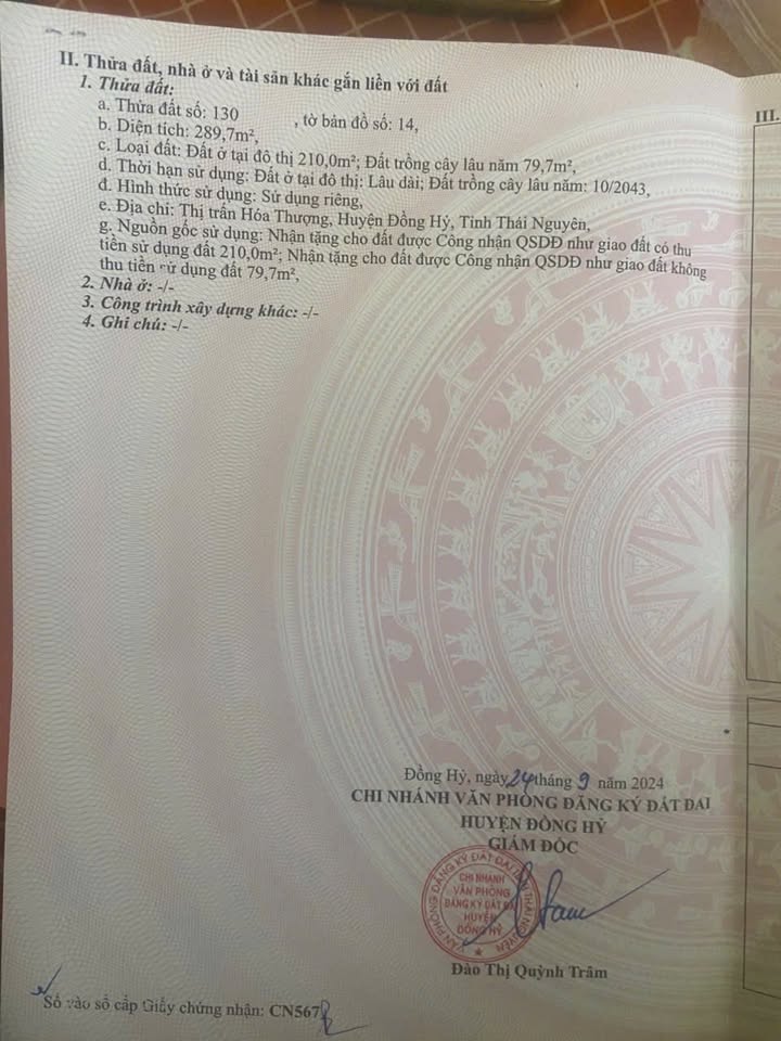 Đất nền chính chủ Phường Yên Thịnh 289.7m² giá 3.3 tỷ - Vị trí tiềm năng tại chợ km6!