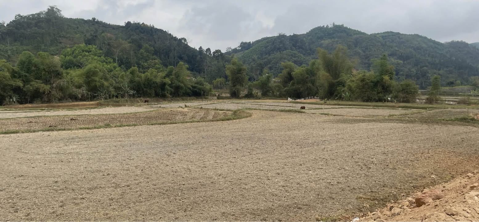 Đất nền 3 sào tại Định Hóa Thái Nguyên giá chỉ 100 triệu - Cơ hội đầu tư hấp dẫn!