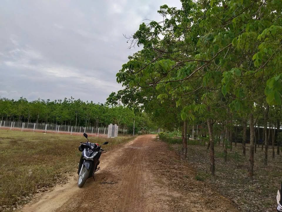 Đất thổ cư Châu Thành, Tây Ninh 225m² giá chỉ 1xx triệu - Đầu tư sinh lời ngay!