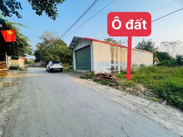 Đất nền Làng Tấm - Định Trung - Vĩnh Yên 115m² giá 1.1 tỷ - Đường rộng ô tô tránh nhau!