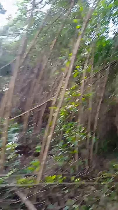 Đất Farm 4ha tại Ya Hội, Gia Lai giá 700 triệu - Sổ tay chính chủ!