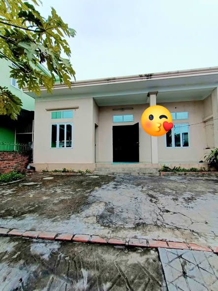 Đất nền ô góc 247m² giá 1 tỷ - Nhà mái bằng sẵn sàng ở ngay!